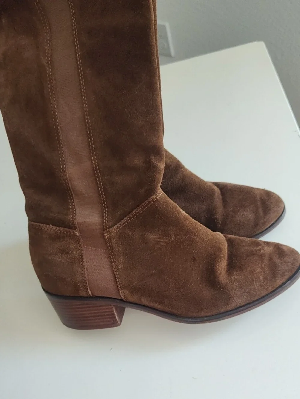 Steve Madden Giselle  Brown Suede Knee-High Women's Boots